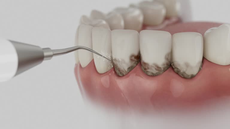 Reliable Dental contractor in Myrtle Grove, FL by Dentist Open Now